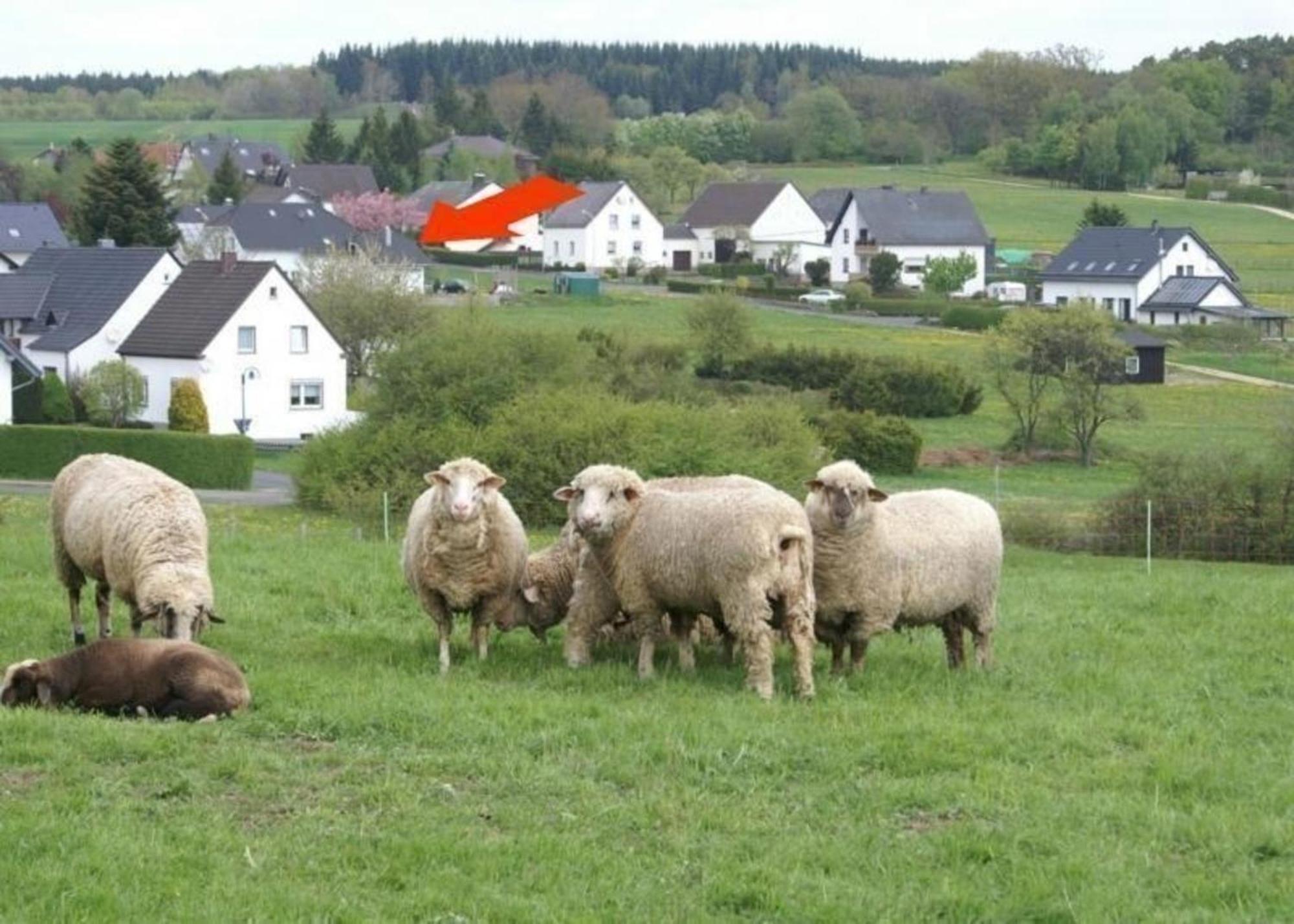 Gemuetliche Maisonette Wohnung Seelenblick Berndorf  Buitenkant foto